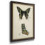 Butterfly Profile IV - Peinture sur toile encadrée-542067362