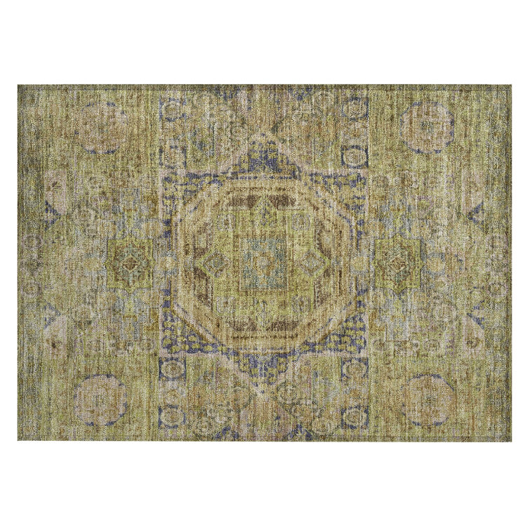Machine Washable Indoor/Outdoor Xhevrie Aloe Rug