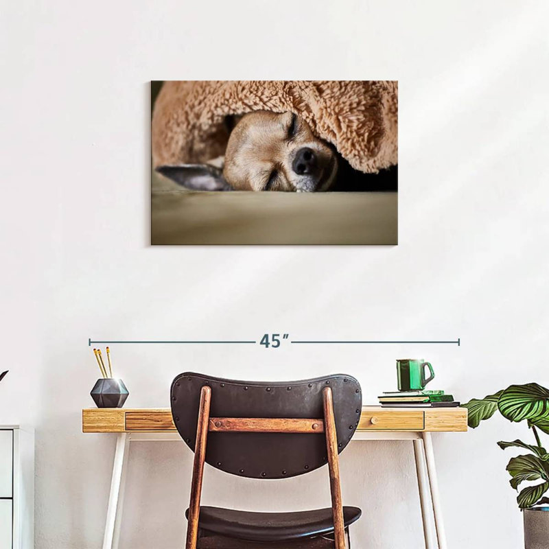 Brampt Sleeping Chihuahua, 20" H x 30" W