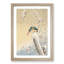 Kingfisher in the Snow by Ohara Koson - Picture Frame Art Print-55609707-55609708