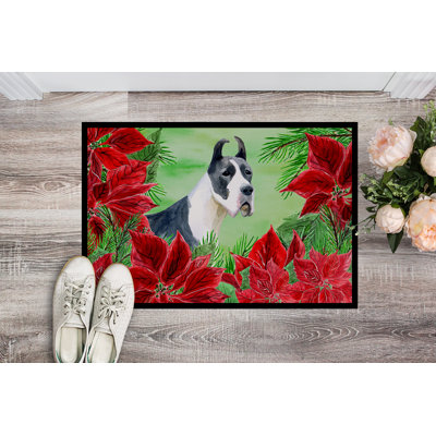 Non-Slip Outdoor Doormat