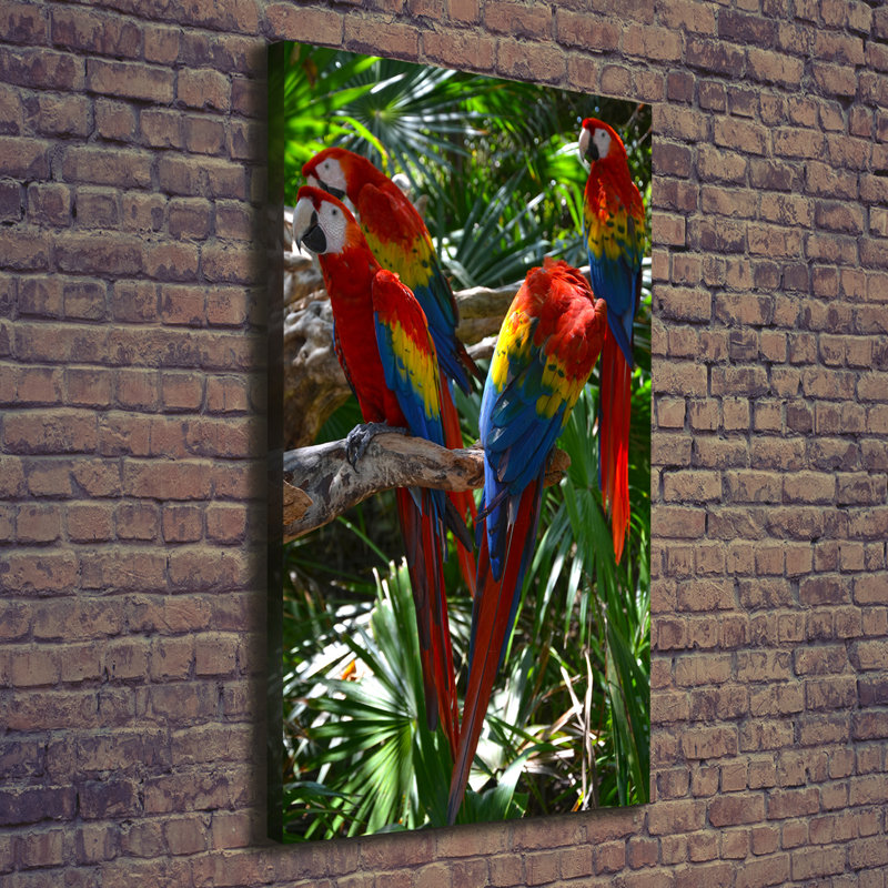 Macaw Parrots - Wrapped Canvas Print