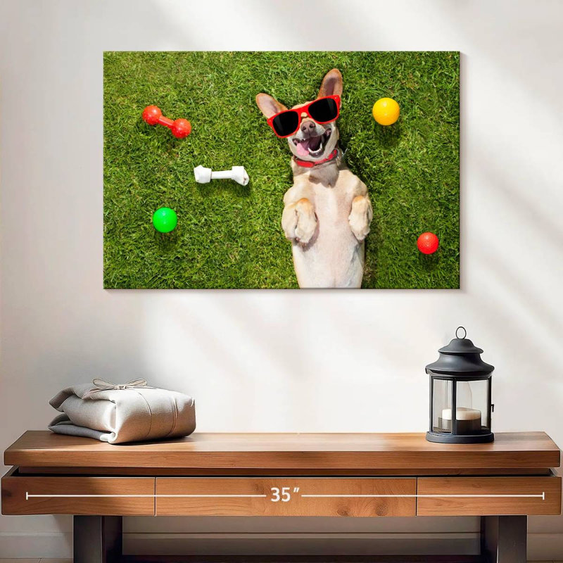 Ketti terrier chihuahua amusant, H 16 po x l 24 po