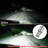 Car Light Bulbs