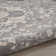Biarni Oriental Indoor Rug