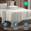 Ensemble de draps Luxury Collection Classic-106306937-106306956