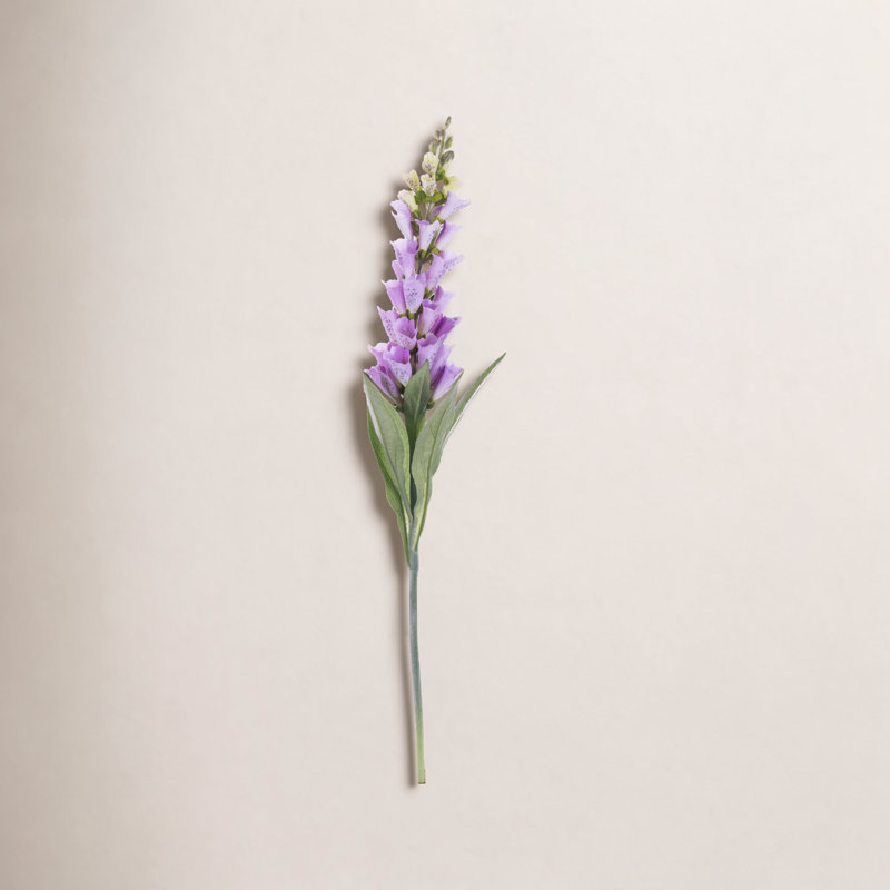 Fuchsia Arrangement, Lavender
