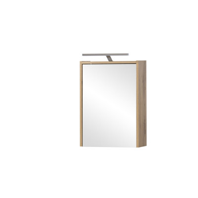 Lankton 43.5mm W 64mm H Surface Framed Medicine Cabinet Mirror 2 Adjustable