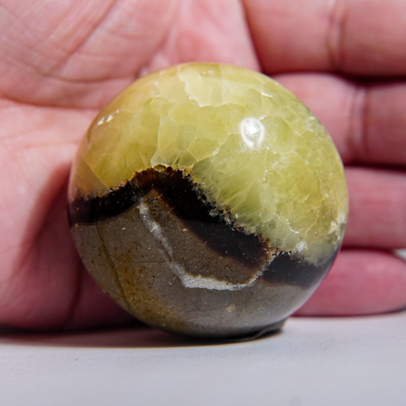 Genuine Polished Septarian Palm Stone