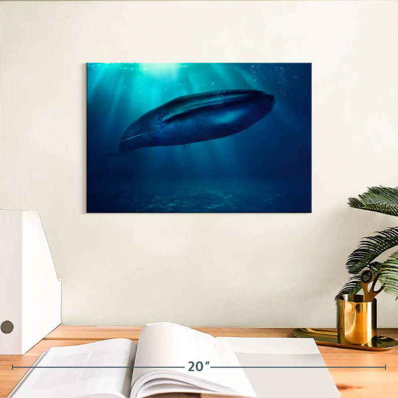 Brampt Blue Whale Underwater, 8'' H x 12'' W