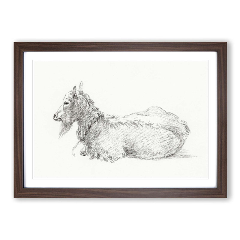 A Resting Goat by Jean Bernard - Single Picture Frame Print, 45cm H x 63cm W x 2cm D, Walnut Framed
