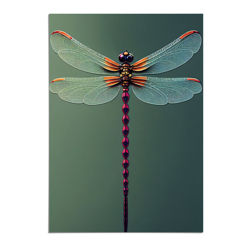 Perfect Dragonfly - Print, No Matte, 29.7cm H x 21cm W, Paper