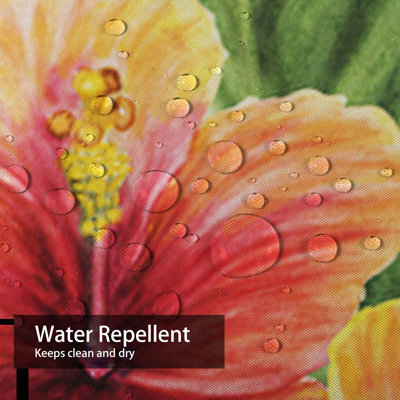 Aquarelle, fleurs exotiques d'hibiscus exotiques, peinture blanche tropicale avec 12 crochets