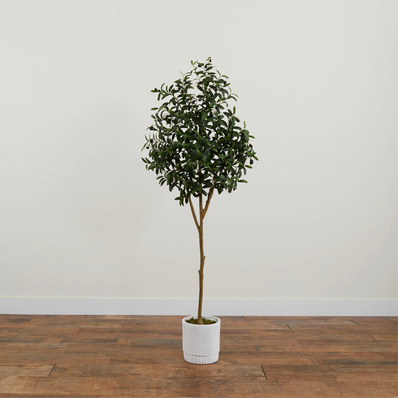 Yost 72'' Faux Olive Tree Tree in Ceramic Planter
