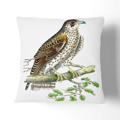 Brown Falcon Square Throw Cushion