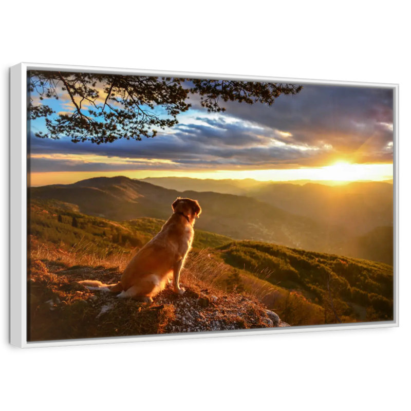 Chien regardant le lever du soleil, Cadre flottant blanc, 31 po x 21 po