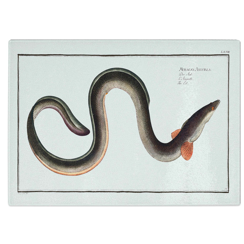 Glass Eel by M.E. Bloch Chopping Board, 39 cm W x 28.5 cm L