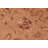 Baccio Wool Oriental Indoor Rug
