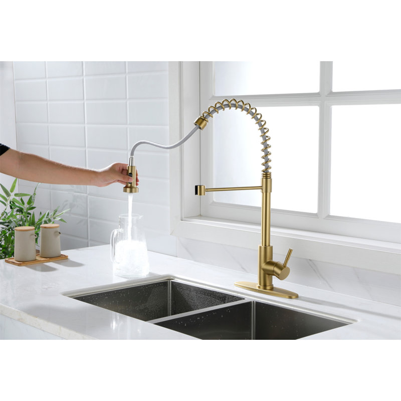 Kitchen Faucet With Pull Out Spraye