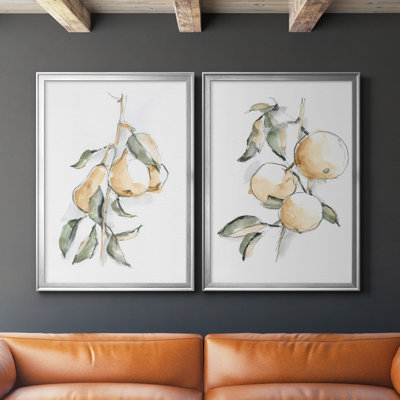 " Watercolor Fruit Contour I " 2 - Pieces
