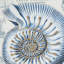 Housse de coussin Coastal-109070070