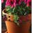 Pot Hugger Set/3 - Ladybug
