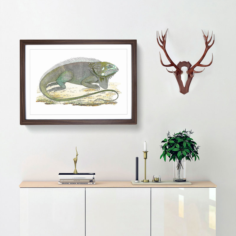 Iguana by George Shaw - Picture Frame Graphic Art Print, 27cm H x 36cm W x 2cm D, Walnut Framed