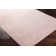 Aurelia Oriental Indoor Rug