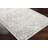 Dickison Machine Washable Oriental Gray/Brown Area Rug-1001873756