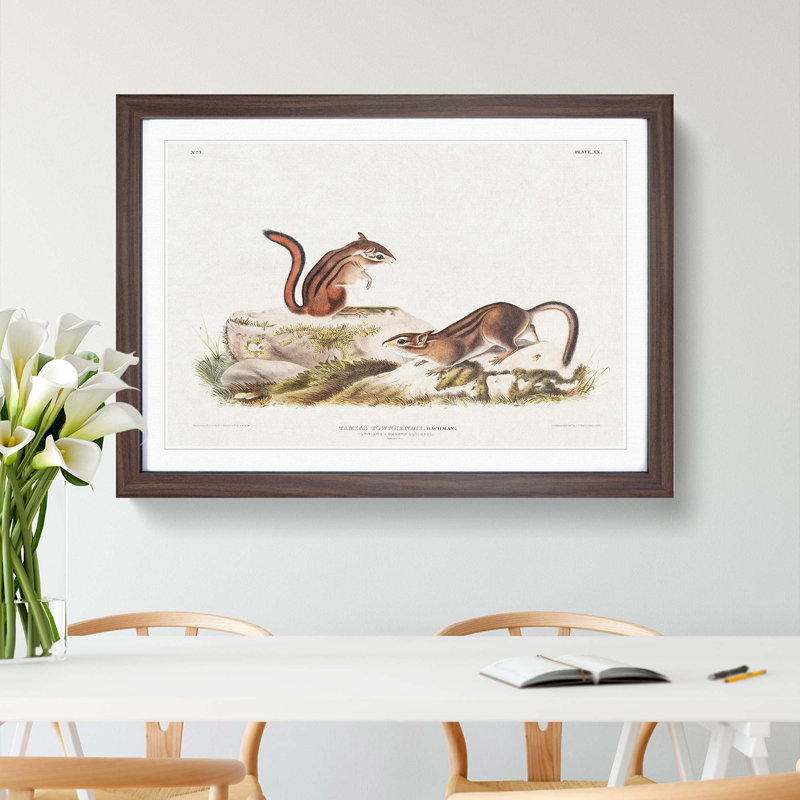 Ground Squirrels by J.W. Audubon - Picture Frame Painting Print, Walnut Framed, 36cm H x 48cm W x 2cm D