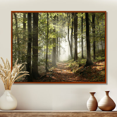 «Green Fall Forest with Sun Rays - Forest», reproduction de photo