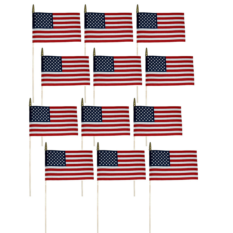 Drapeau de maison miniature en nylon américain 8 x 12 po