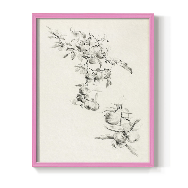 Vintage Sketch XCI Framed Print - Solid Wood, 30" H x 24" W, Pink