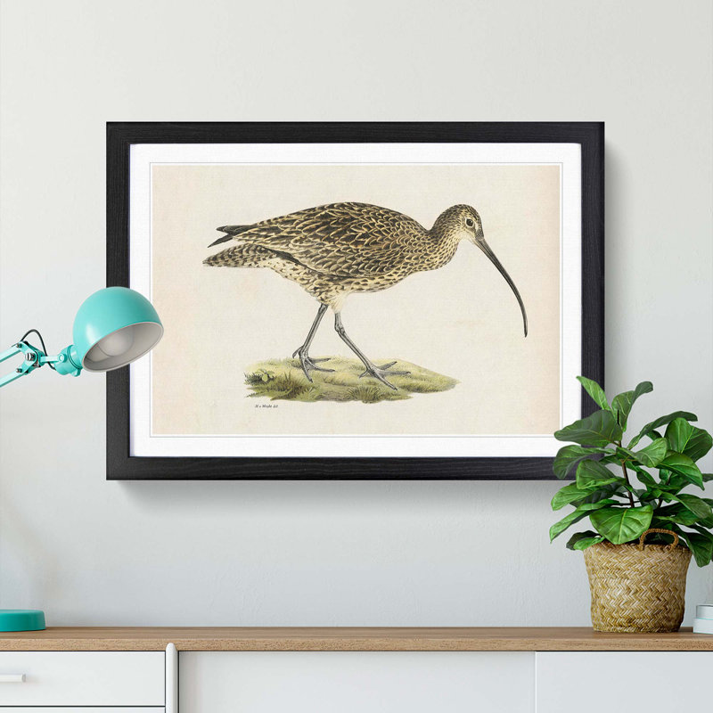 Eurasian Curlew by Von Wright - Picture Frame Painting Print on MDF, Black Framed, 36cm H x 48cm W x 2cm D