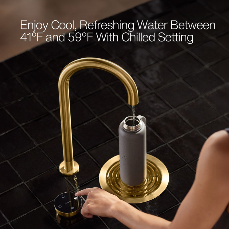 Aquifer4-In-1 Short Arc Beverage Faucet, Stainless Steel