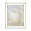 Sweetest Taboo 1 Print by Studio L57 Affinity-653663736