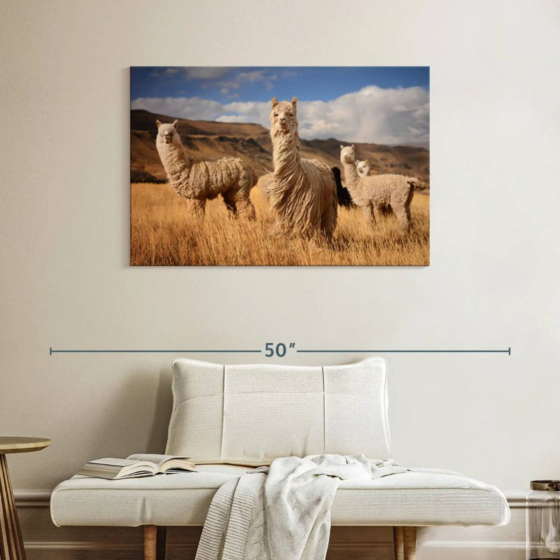 Andes Alpacas, 26" H x 39" W