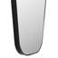 Konstance Free Form Steel Mirror