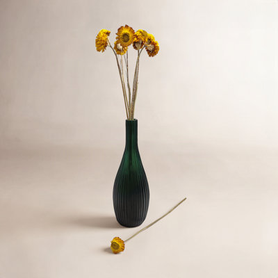 Modern Art Preserved Daisy Stems