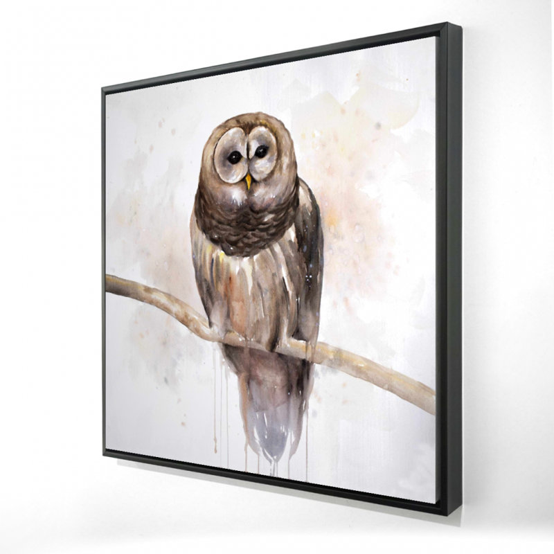 " Barred Owl "