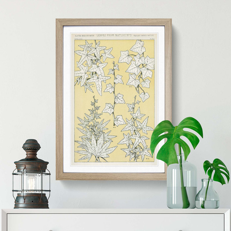 Leaves from Nature No. 3 by Owen Jones - Picture Frame Painting Print, 48cm H x 36cm W x 2cm D, Oak Framed