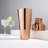 Mercer Summit Parisian Cocktail Shaker