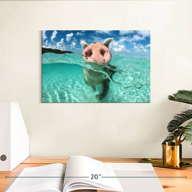Brampt Swimming Wild Pig, 8" H x 12" W