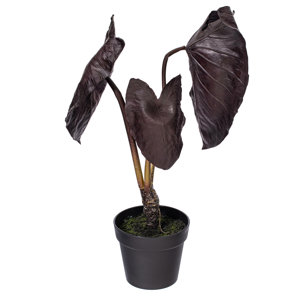 Primrue 28" x 17" Artificial Alocasia Black Magic Potted Plant.