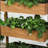Tier Vertical Garden Planter