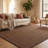 Cybil Auckland Jute Brown Area Rug-492661641