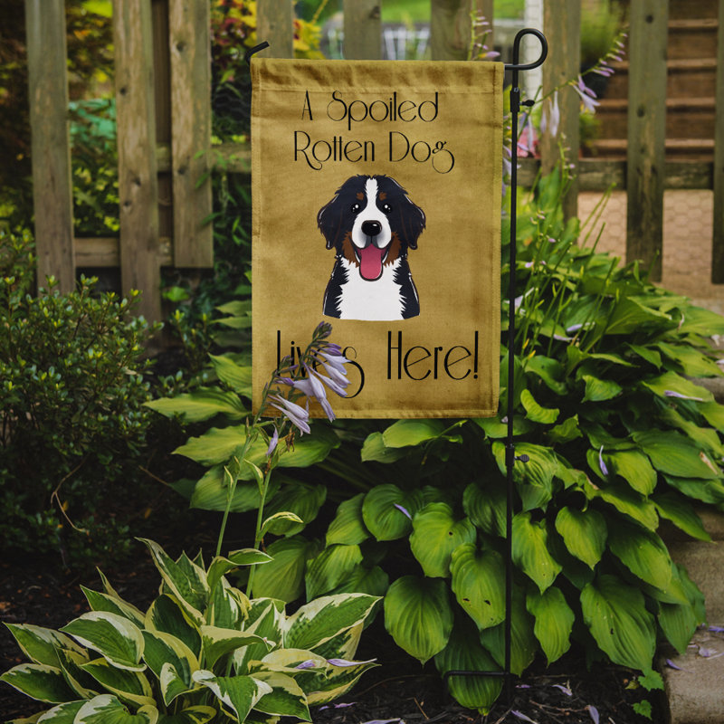 Drapeau de jardin à 2 côtés pour chien en vie, Bouvier bernois