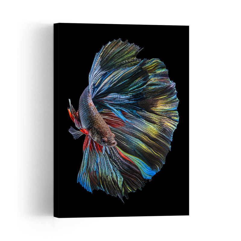 Vibrant Betta Fish, coloré, élégant, serein, poisson, impression d'art mural tropical, H 24 po x l 16 po