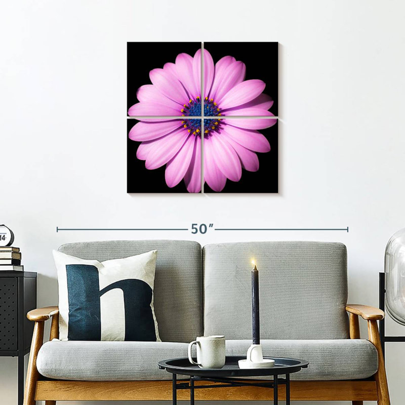 Marguerite rose, H 26 po x l 26 po