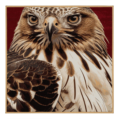 Washable Red tailed Hawk Birds Area Rug